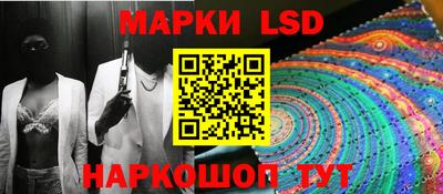 мет Владимир